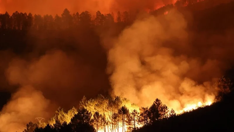 agroseguro-incendios