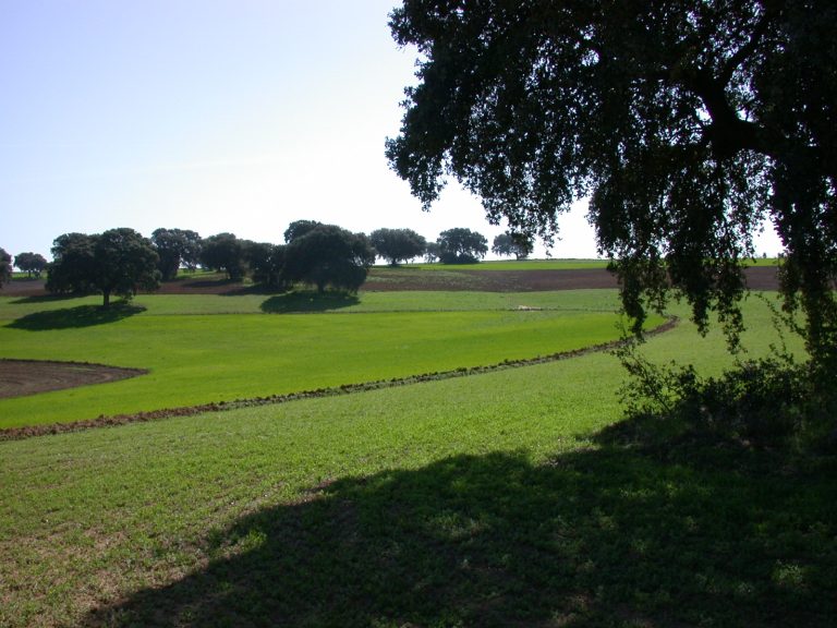 producción-ecológica-andalucía