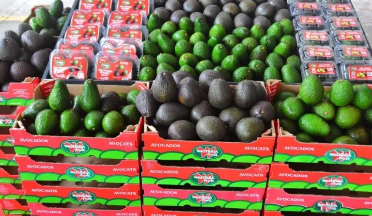 westfalia-fruit