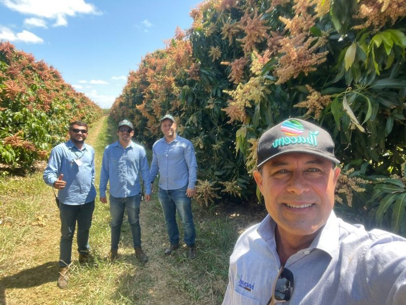 EDUARDO-FERRAZ-MANGO