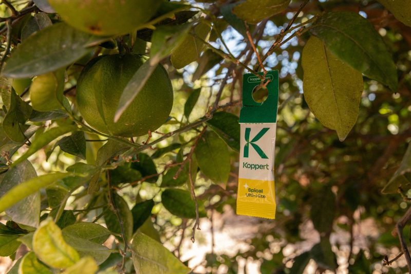 KOPPERT-productos