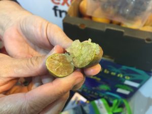 caviar cítrico