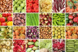 EUROPEAN-AGRICULTURE