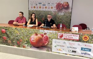 granada-mollar-de-elche