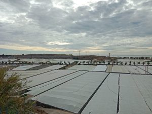 panoramica_invernaderos_almeria