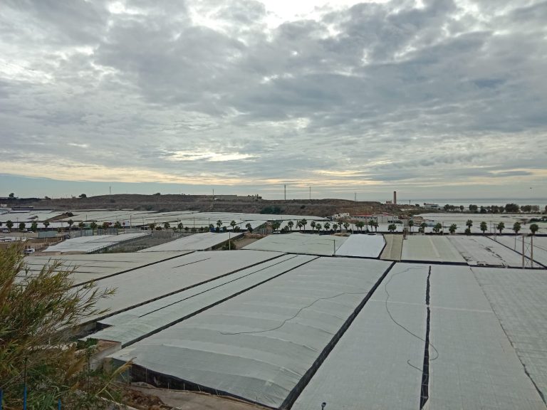 panoramica_invernaderos_almeria