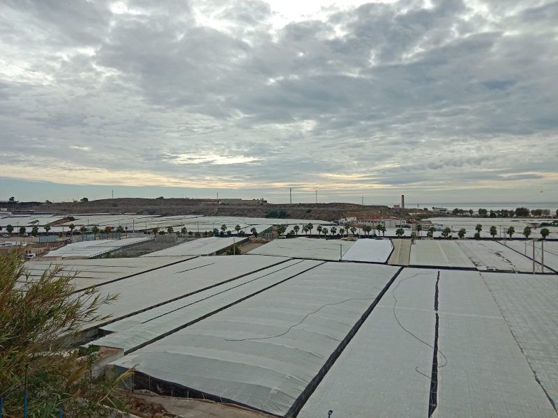 panoramica_invernaderos_almeria