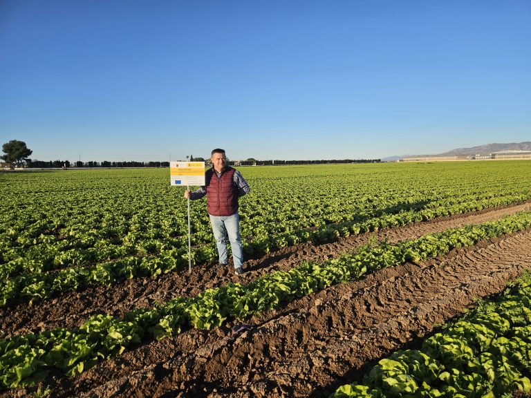 NITROSFERA-ensayo-Bonduelle