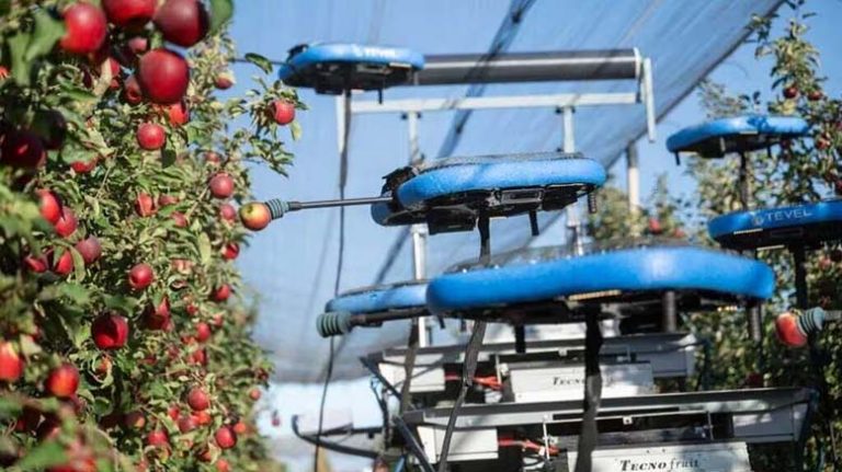ROBOT-RECOLECTOR-DE-MANZANAS
