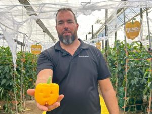 Alejandro HMCLAUSE Halloween 2025 Belenus F1 pimiento