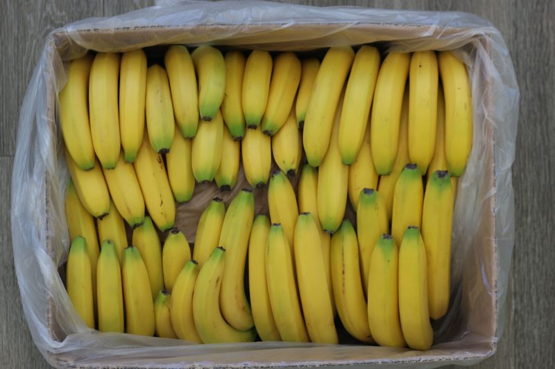 CATALYTIC-GENERATORS