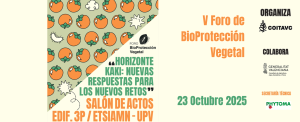 Banner Foro HORIZONTE KAKI