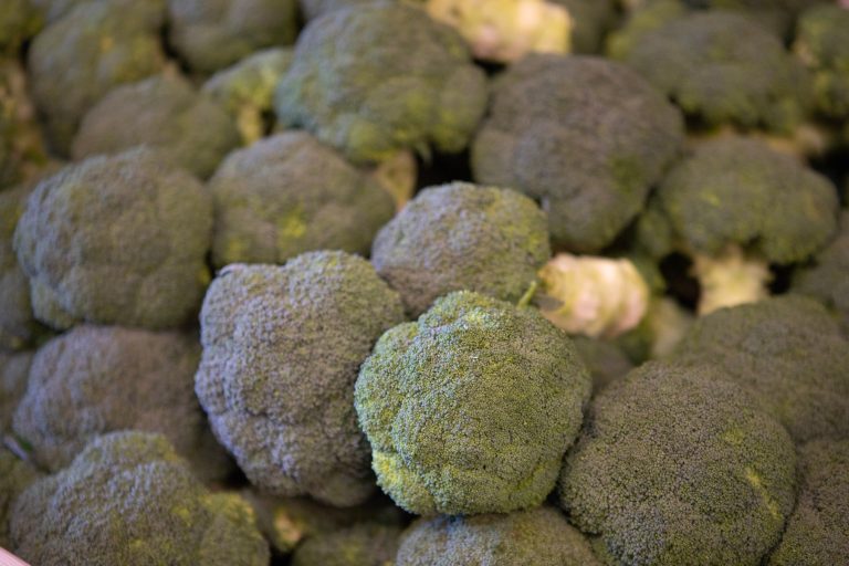 Brocoli europeo - Una Europa Mas Saludable