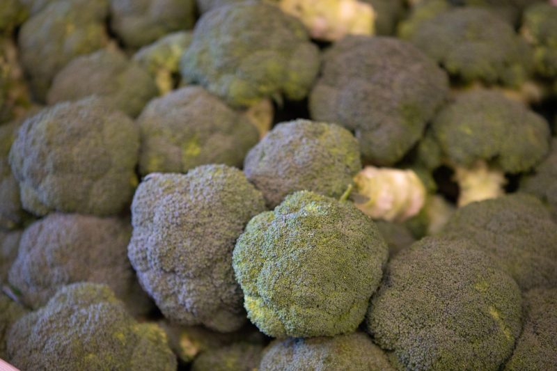 Brocoli europeo - Una Europa Mas Saludable