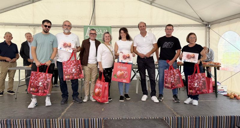GRANADAS-DE-ELCHE