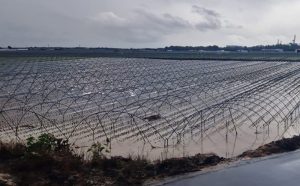 Finca-anegada-lluvias