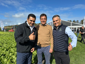 SYNGENTA