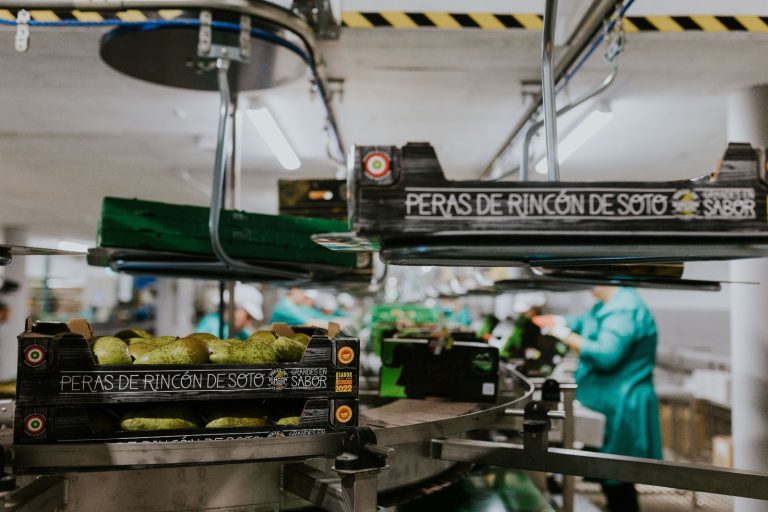 pera-rincón-de-soto