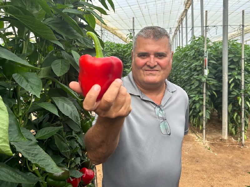 Ramiro Arnedo pimiento