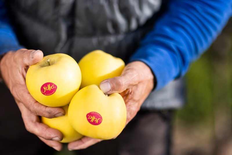 Yello ©ArminHuber