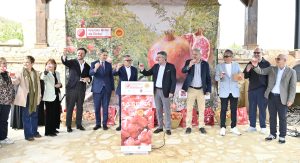 Granada-Mollar-de-Elche