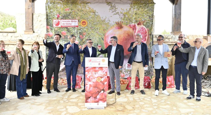 Granada-Mollar-de-Elche