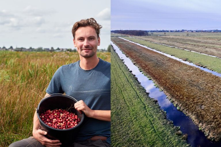 cranberry_from_the_netherlands_0