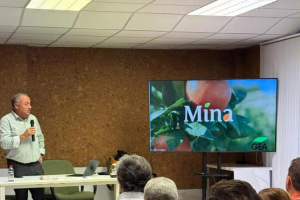 MANDARINA-MINA
