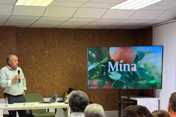 MANDARINA-MINA