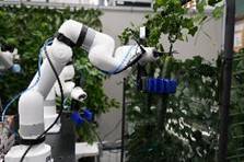 eurecat-agritech