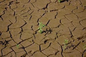 convención-por-la-crisis-climática