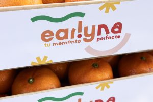 1-Alejandro-Reula-Fotografia-_W8A4357