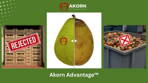 Akorn pears comparison