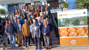 cítricos-valencianos