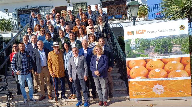 cítricos-valencianos