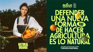 BOLLO-BCORP