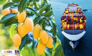 EOSTA-MANGO