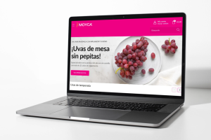 Moyca ecommerce