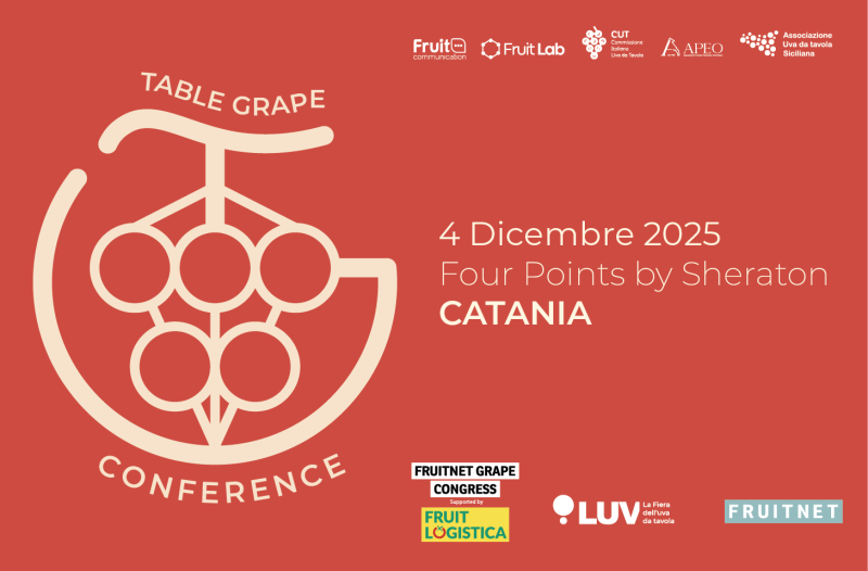 TABLE-GRAPE-CONFERENCE