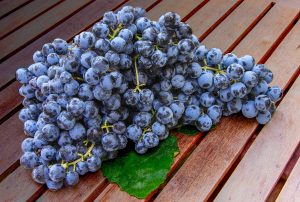 UVA-GRAPES