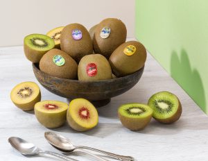 jingold-kiwi-tutti3