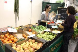 puesto-venta-directa-alimentos-ecologicos-BioCulturaOK