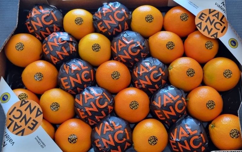 CÍTRICOS-VALENCIANOS