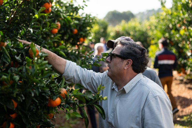 2025_12_09_Gensis_Road_Trip_A7IV_07136