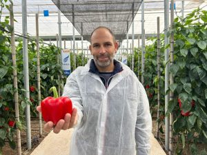 BASF Nunhems Antonio Miguel Lópe - pimiento Abakos