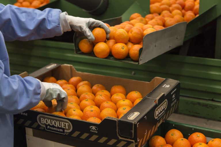 Clementina Bouquet Premium de Anecoop