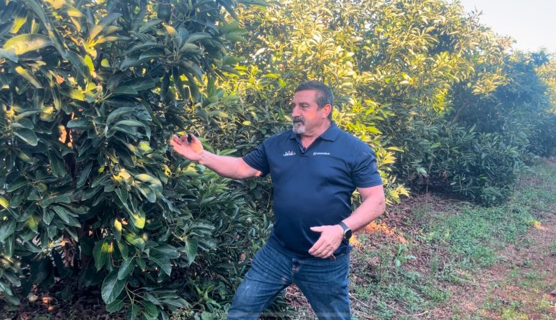Ensayo Ecoculture