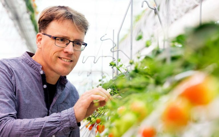 BIOBEST-Gerben-Messelink-greenhouse digital