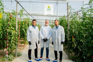 equipoventas-YUKSEL-SEEDS