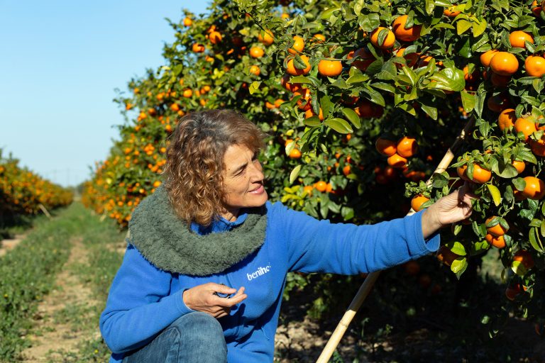 tecnica-benihort-1(1)